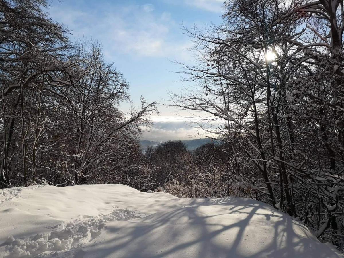 Gomba Panzio Bed and Breakfast Velem Buitenkant foto